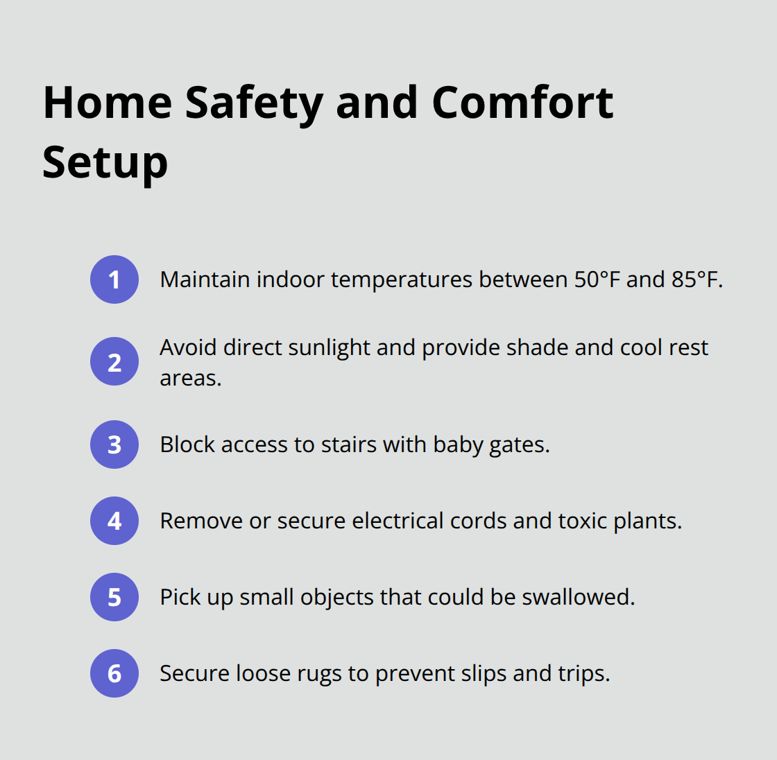 Essential steps to prepare your home for a black pug puppy - black pug puppy for adoption