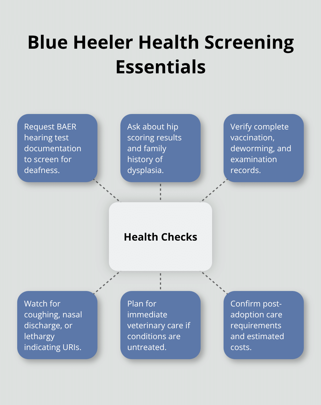 Health screening checklist for Blue Heeler puppies before adoption