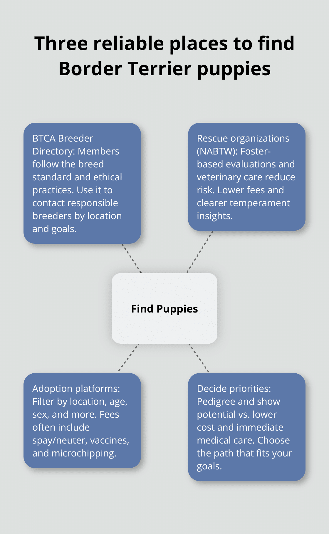 Infographic showing four ways to find Border Terrier puppies: BTCA directory, rescues, adoption platforms, and a priorities check. - border terrier puppy adoption