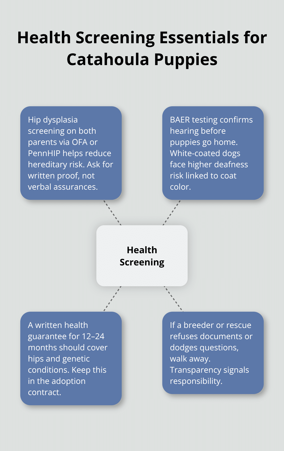 Key health screening steps for Catahoula Leopard puppies before adoption - catahoula leopard puppy for adoption