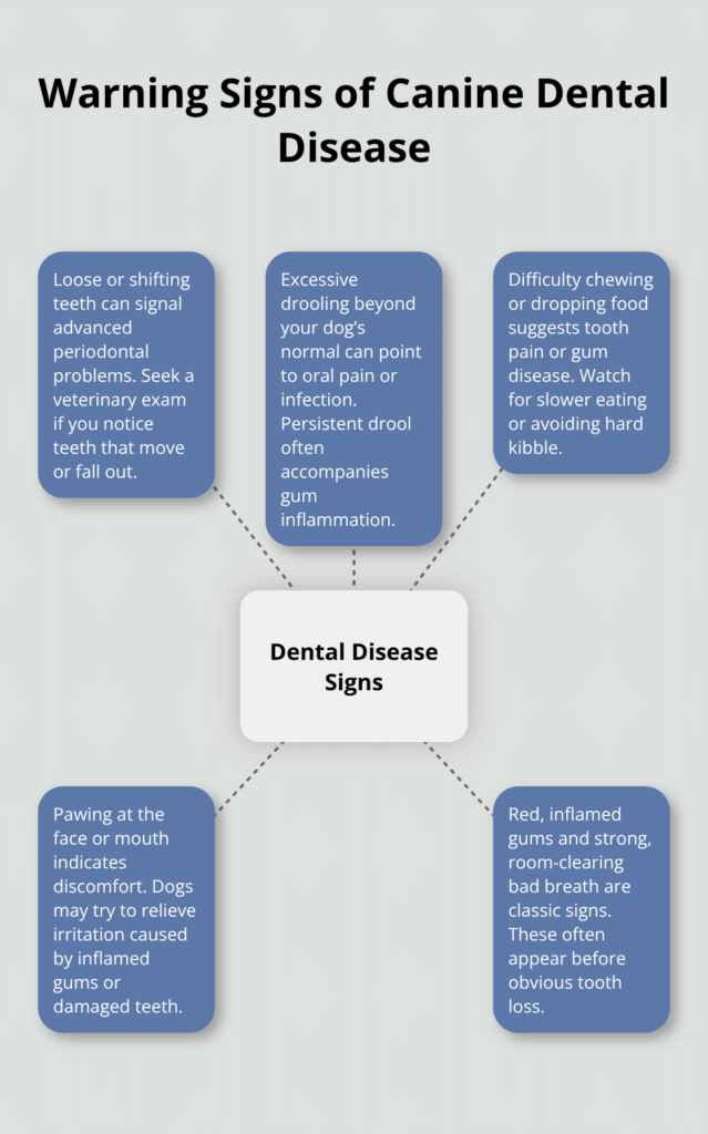 dental care dog treats infographic 1 1765836586