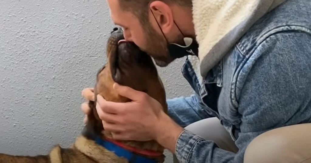 dog named brutus story1