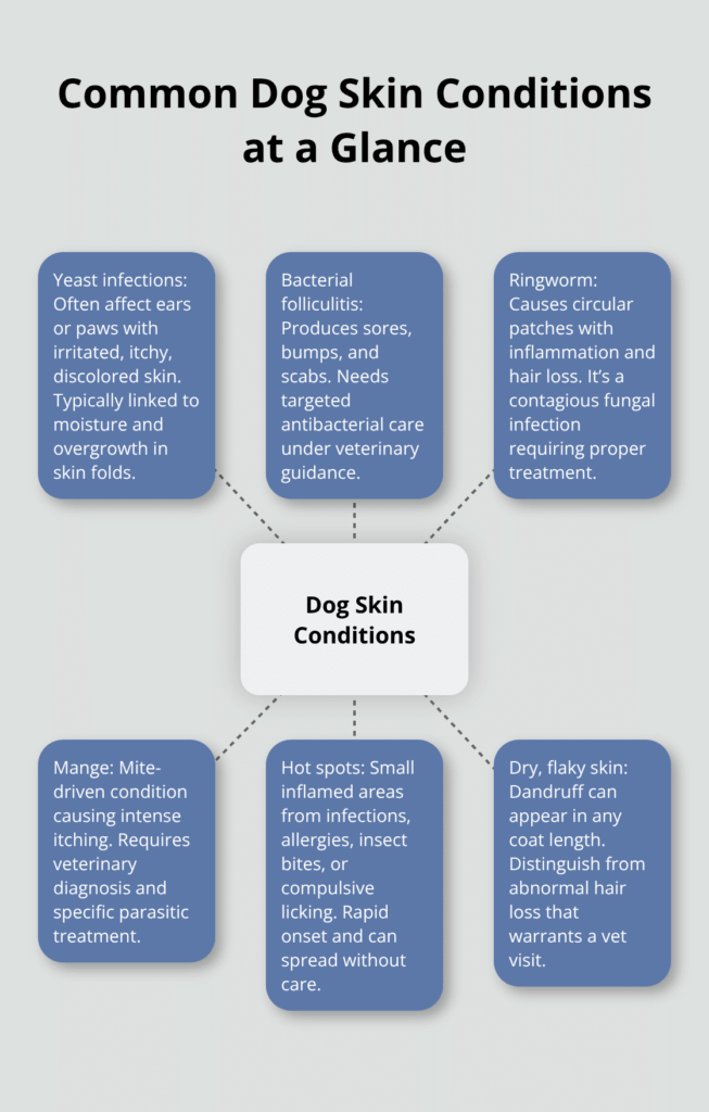 dog skin care products infographic 1 1766268577