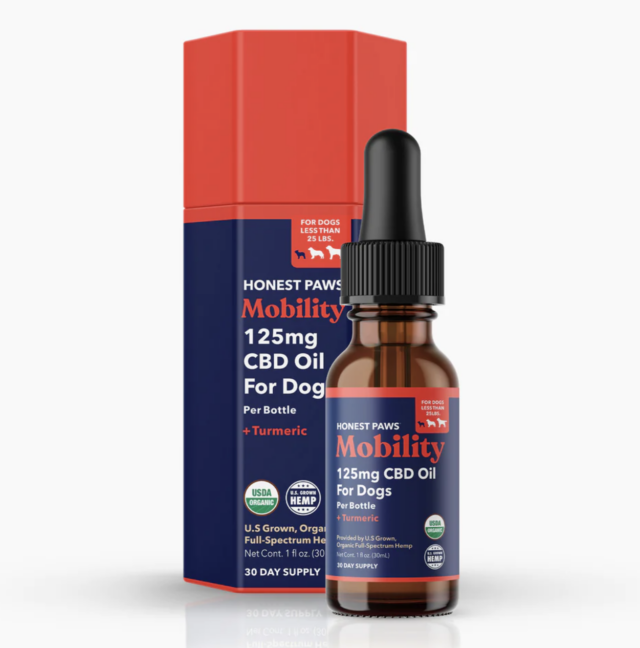 honest paws e1678492981206