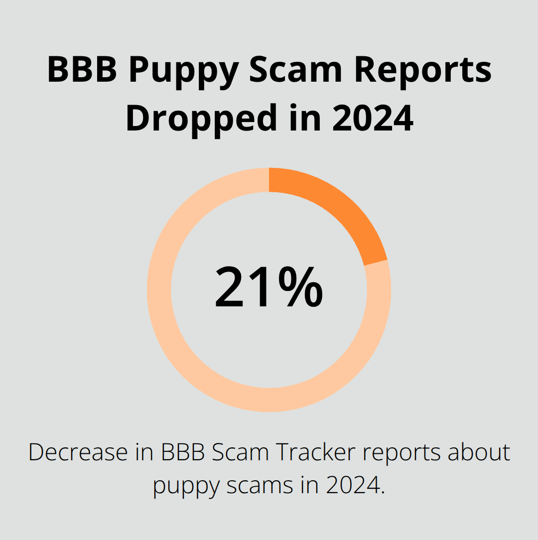 Chart showing a 21% decrease in BBB Scam Tracker reports about puppy scams in 2024 - puppy adoption scams