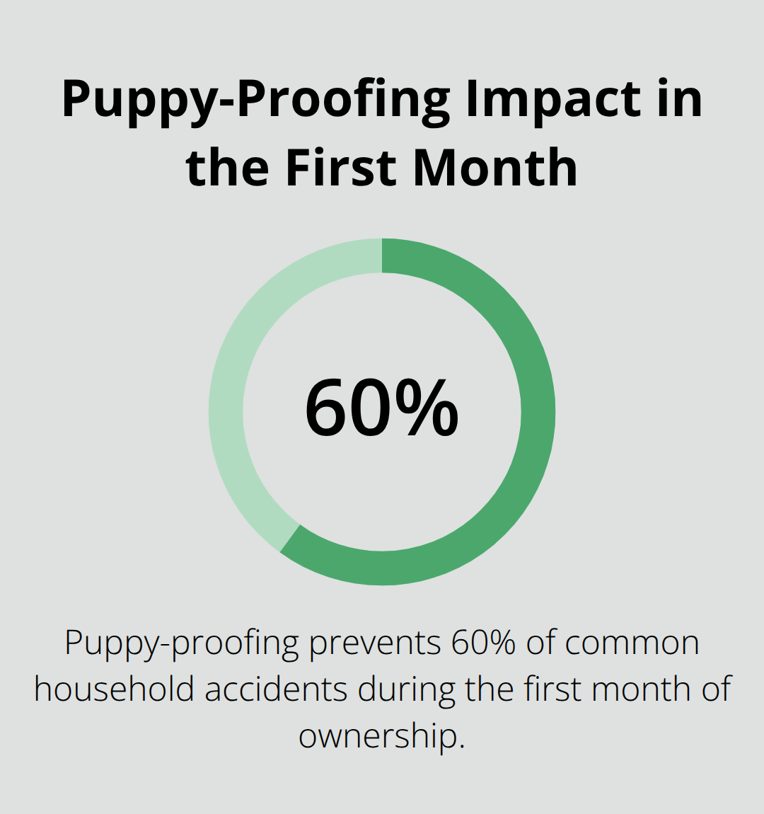 How to Adopt a Puppy from Bowl 2023 Event 4 Percentage chart showing the share of accidents prevented by puppy-proofing - puppy bowl 2023 adoption