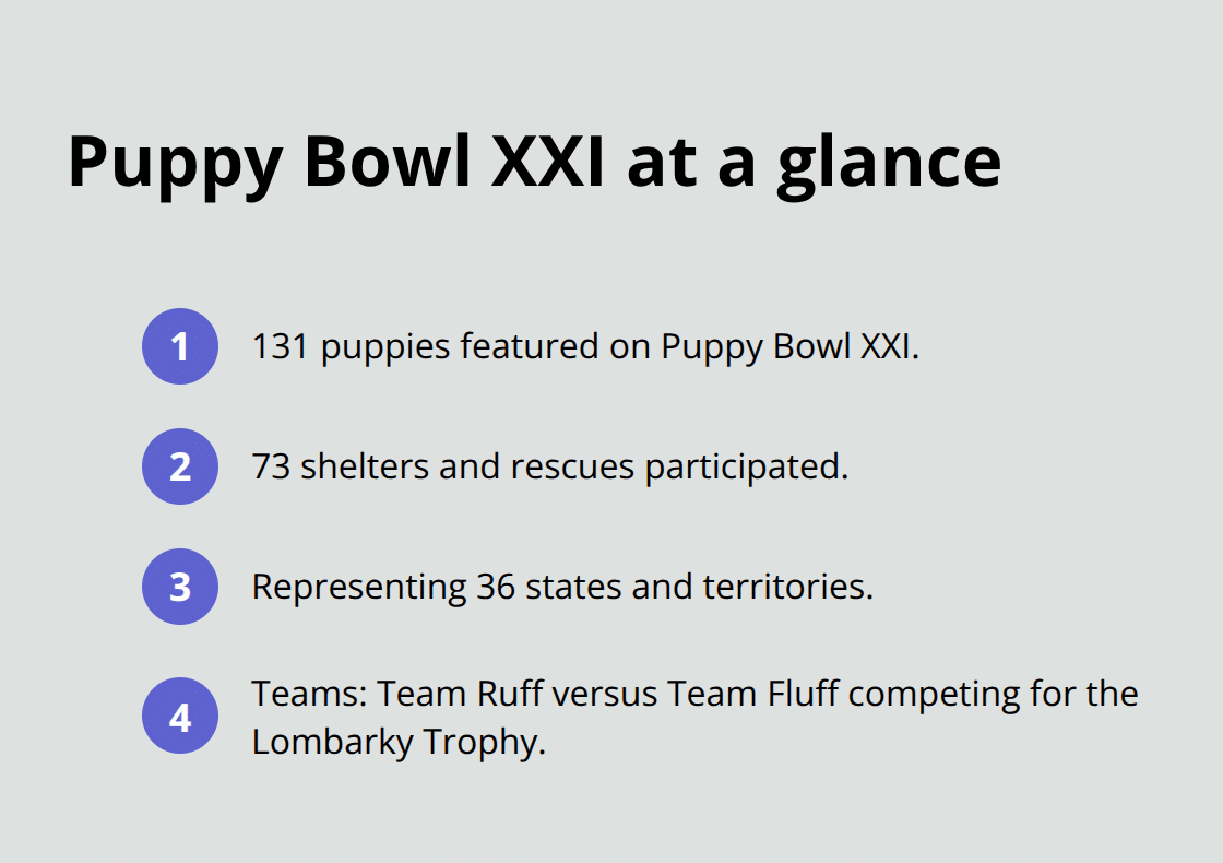 Key Puppy Bowl XXI numbers: puppies, shelters, states, teams. - puppy bowl 2025 adoption time