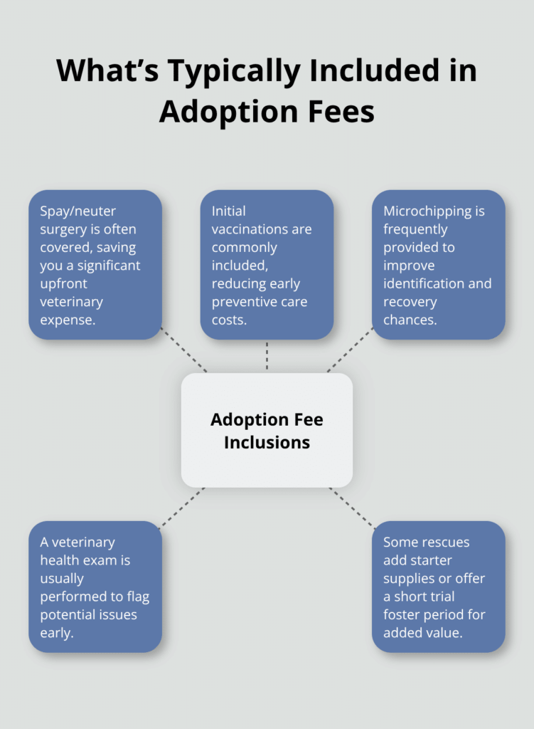 puppy bowl adoption cost infographic 1 1766527827