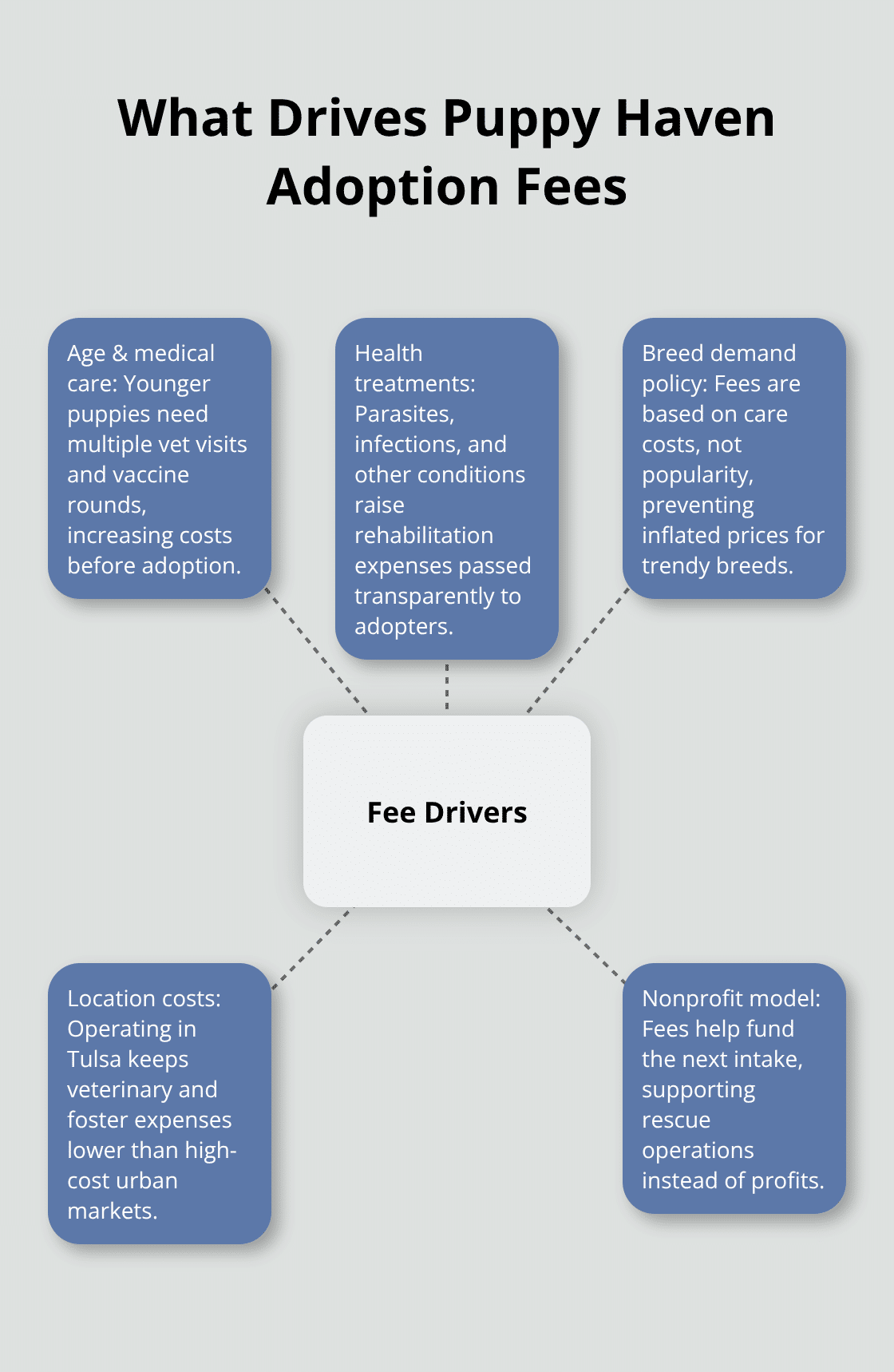Hub-and-spoke diagram of factors influencing Puppy Haven Rescue adoption fees