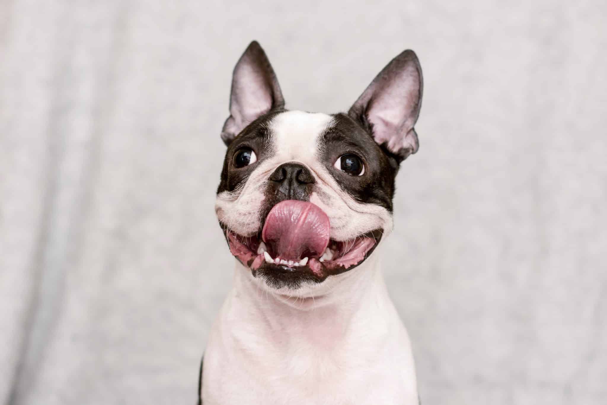 shutterstock 1312958870 scaled 1