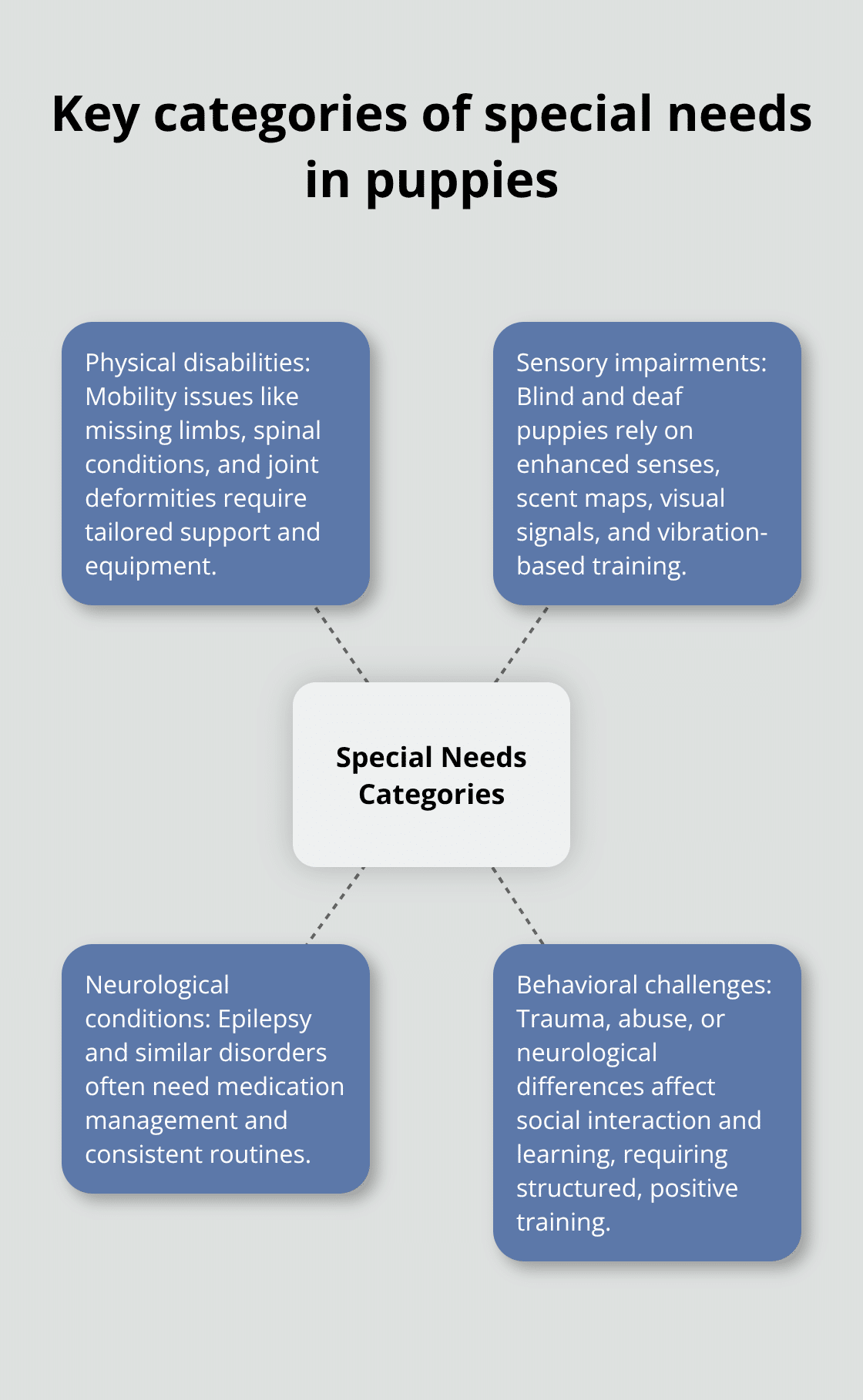 How to Adopt a Special Needs Puppy: Complete Guide 3 Visual map of special needs categories for puppies - special needs puppy adoption
