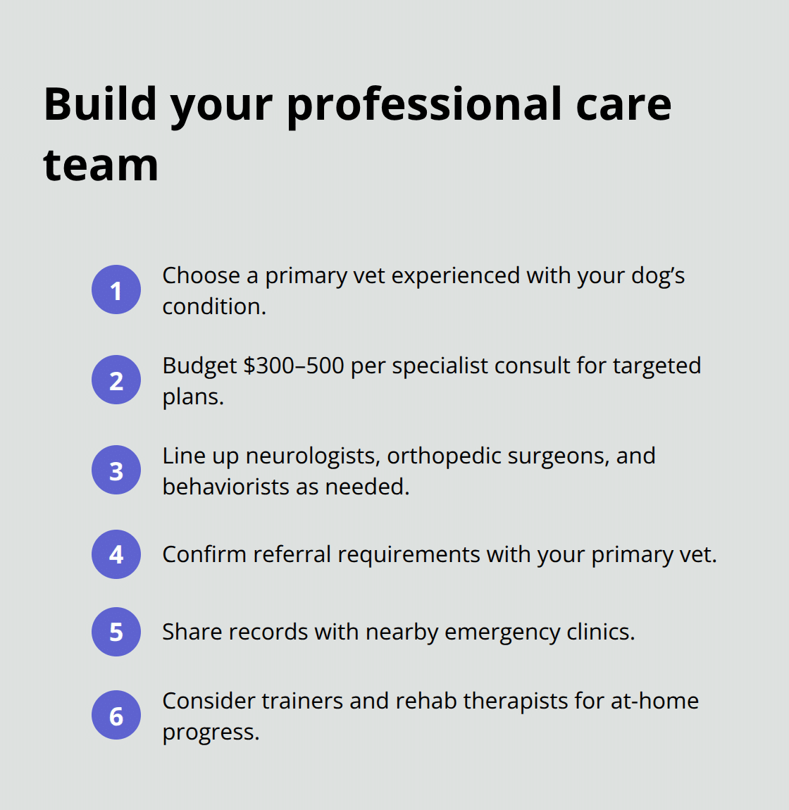 How to Adopt a Special Needs Puppy: Complete Guide 5 Checklist of professionals and key steps to organize care for a special needs dog