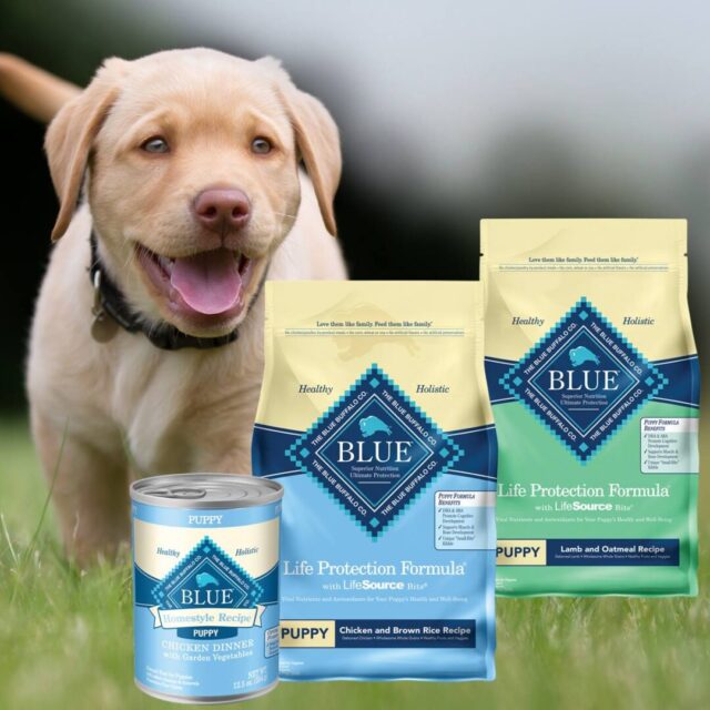 11 Best Dry Dog Foods 24 27747957 10155290033528359 688948927911225092 o e1673472323970