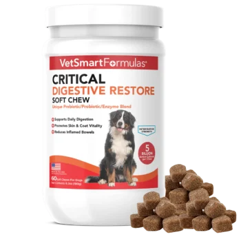 13 Best Probiotics For Dogs & Puppies (+1 to Avoid) 26 Critical Digestive Restore for Dogs Critical Digestive Restore for Dogs Critical Digestive Restore for Dogs Critical Digestive Restore for Dogs Critical Digestive Restore for Dogs Critical Digestive Restore for DogsCritical Digestive Restore for DogsCritical Digestive Restore for DogsCritical Digestive Restore for DogsCritical Digestive Restore for DogsCritical Digestive Restore for Dogs Critical Digestive Restore for Dogs
