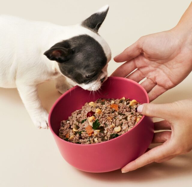 309843158 5615898831801201 2979304329569933081 n e1668128841399