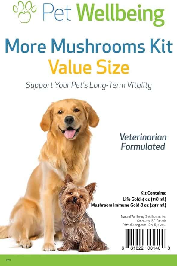 Pet Wellbeing More Mushrooms Kit for Dogs