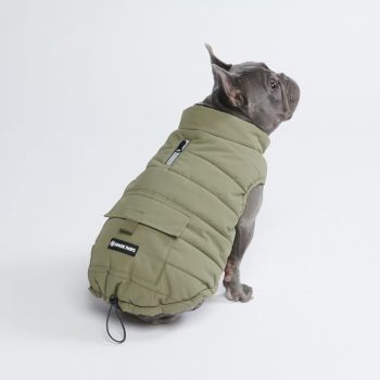 13 Senior Dog Comfort Items That Support Winter Wellness 7 Spark Paws Dog Winter Jacket