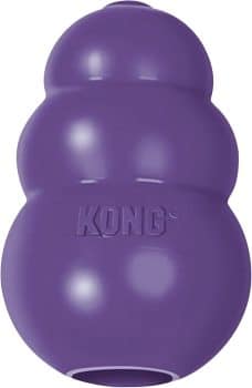 13 Senior Dog Comfort Items That Support Winter Wellness 29 KONG Senior - Dog Toy