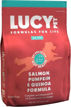 8 Best Dog Foods for Dogs with Atopic Dermatitis – 2026 7 Lucy Pet Formulas for Life Salmon, Pumpkin, & Quinoa Dry Dog Food