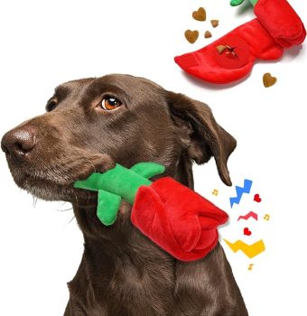 15 Sweetheart Deals on Valentine’s Day Dog Toys, Treats, and More 17 Rose Puzzle Dog Toy