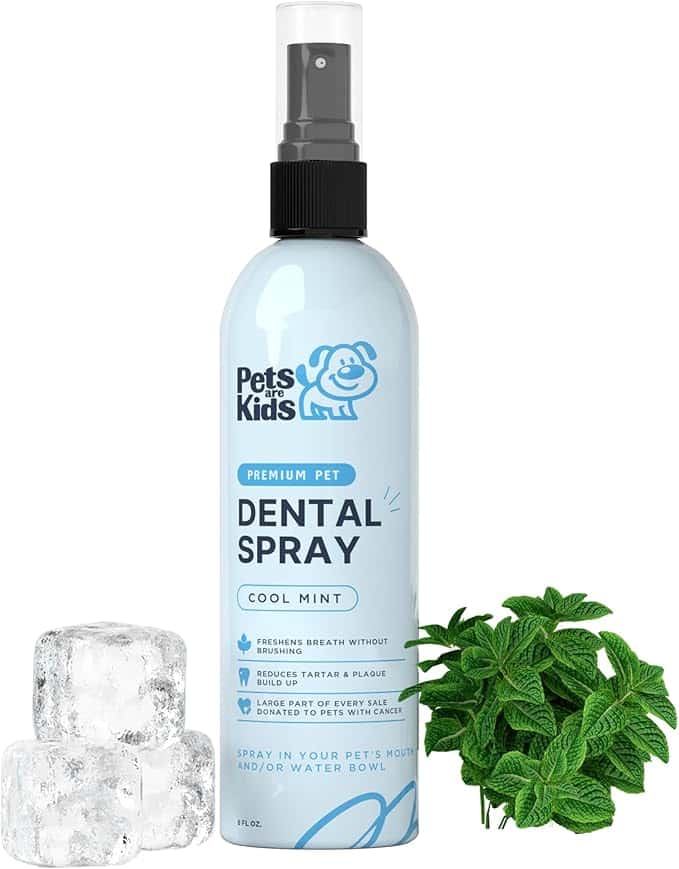 Pets are Kids Dog Dental Spray