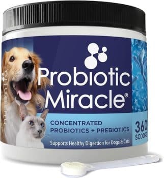 13 Best Probiotics For Dogs & Puppies (+1 to Avoid) 32 Probiotic Miracle