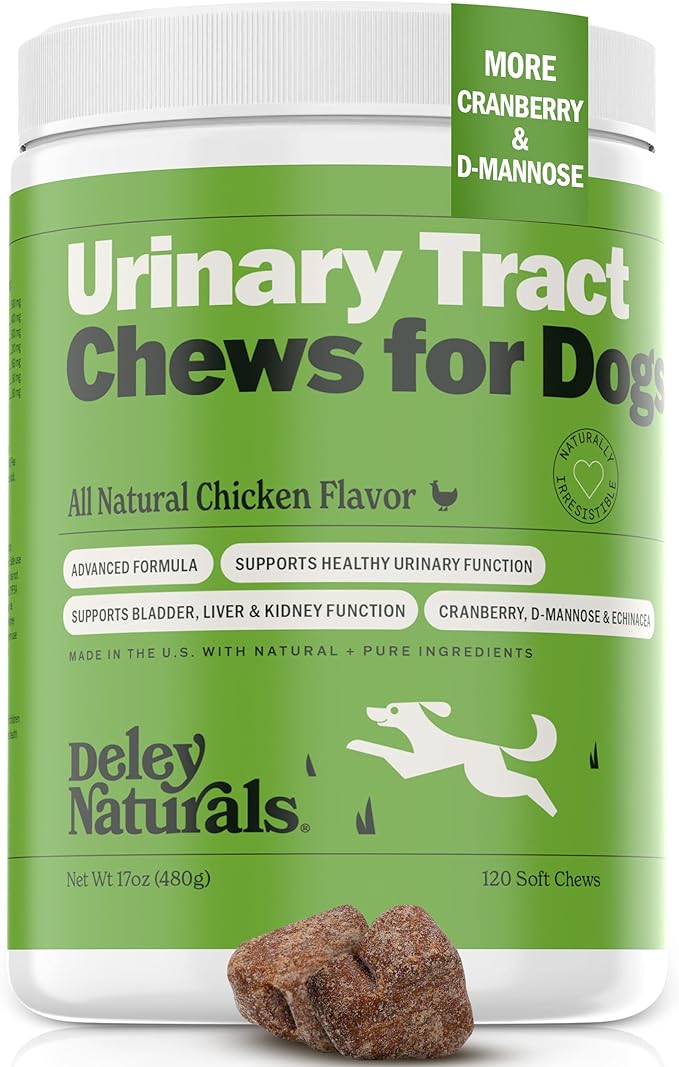 10 Best Urinary, Kidney and Bladder Supplements For Dogs 2026 31 Deley Naturals Dog UTI Chews
