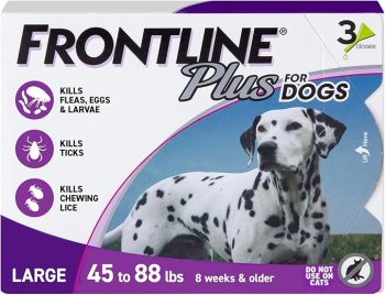 The 10 Best Flea & Tick Treatments For Dogs 5 FRONTLINE Plus Flea and Tick Treatment