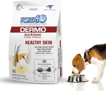 8 Best Dog Foods for Dogs with Atopic Dermatitis – 2026 13 Forza10 Dermo Allergy Dog Food