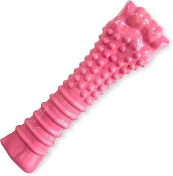 Nylabone Power Chew Breast Cancer Awareness Femur Bone Chew Toy 