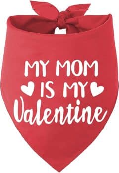 15 Sweetheart Deals on Valentine’s Day Dog Toys, Treats, and More 33 Valentines Dog Bandana