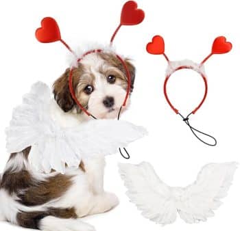 15 Sweetheart Deals on Valentine’s Day Dog Toys, Treats, and More 21 Dog Sweeat Heart Headband Valentin's Day Costume Set