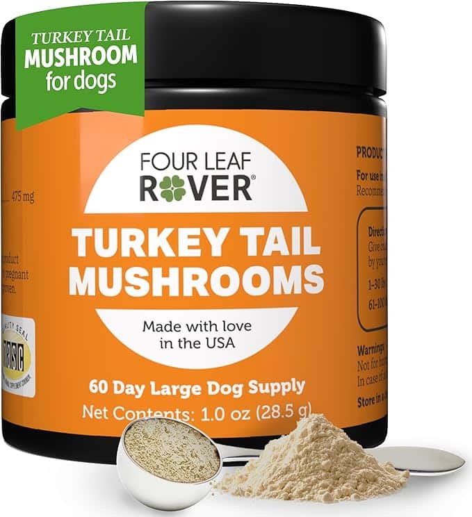 Turkey Tail Mushroom for Dogs - Whole, Organic Mushroom Extract