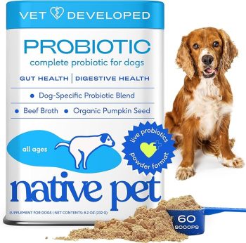 13 Best Probiotics For Dogs & Puppies (+1 to Avoid) 5 Native Pet Probiotics for Dogs