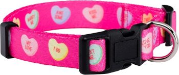 15 Sweetheart Deals on Valentine’s Day Dog Toys, Treats, and More 27 Native Pup Valentine’s Dog Collar