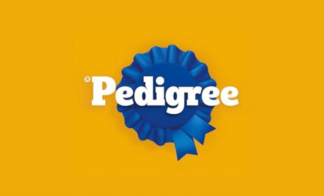 Shop These 14 Amazon Brands That Give Back to Dogs in Need 21 All the support your dog needs at a price you can afford. 1 e1746562627397