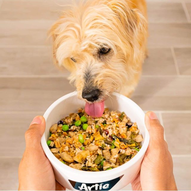 The 13 Best Dog Foods – 2026 24 Artie