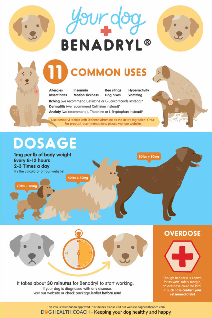 Benadryl for Dogs