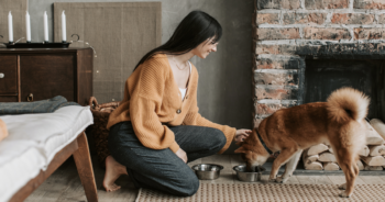 Best raw dog food Featured 350x184 1