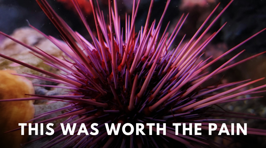 Blog Headers 1 e618038a 8876 4e2a b277 7378e02069c7