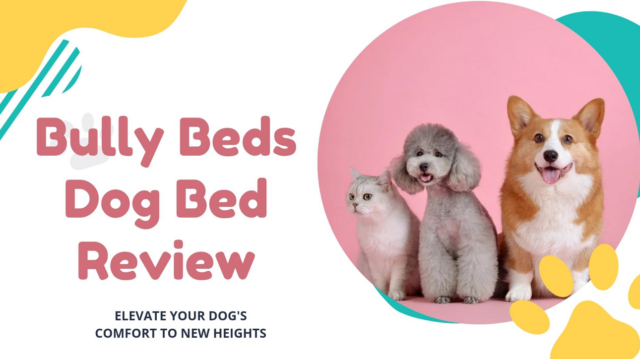 Bully Beds Dog Bed Review: Elevate Your Dog’s Comfort To New Heights! 4 Bully Beds Dog Bed Review