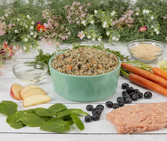 The 13 Best Dog Foods – 2026 20 Chicken Salad 720x608 justfoodfordogs e1687899362367