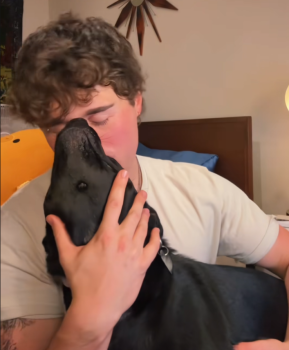 DogBreedDNAStory6 289x350 1