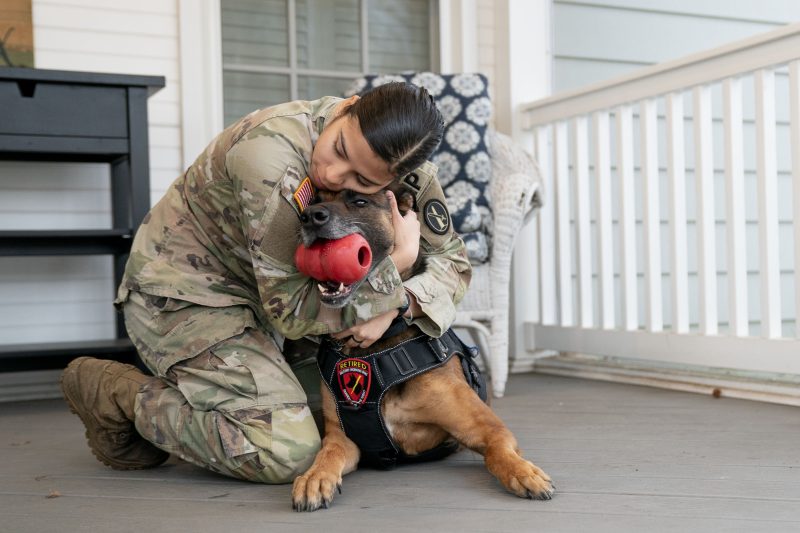 Military Dog Reunites with Handler and Retires on U.S. Soil Lead image American Humane Society 800x533 1