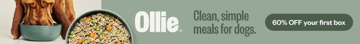 Ollie 728x90 1