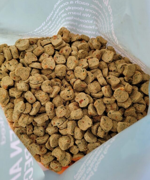 Ollie baked dog food up close