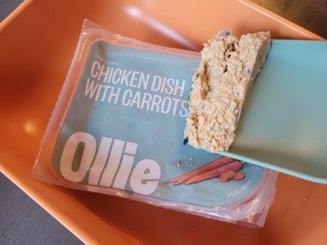 Ollie chicken fresh food up close