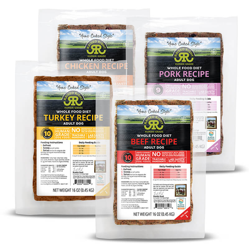 The 13 Best Dog Foods – 2026 43 Raised Right