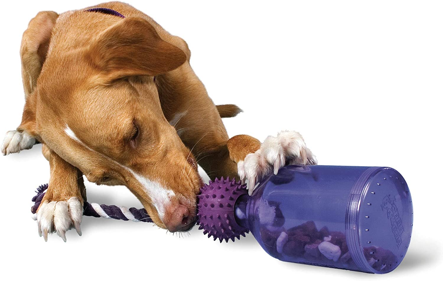 PetSafe Busy Buddy Tug-A-Jug Meal-Dispensing Toy