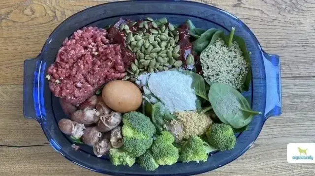 Pork homemade dog food recipe preparation